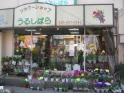 「フラワーショップうるしばら」　（神奈川県横浜市保土ケ谷区）の花屋店舗写真1