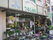 「フラワーショップうるしばら」　（神奈川県横浜市保土ケ谷区）の花屋店舗写真2